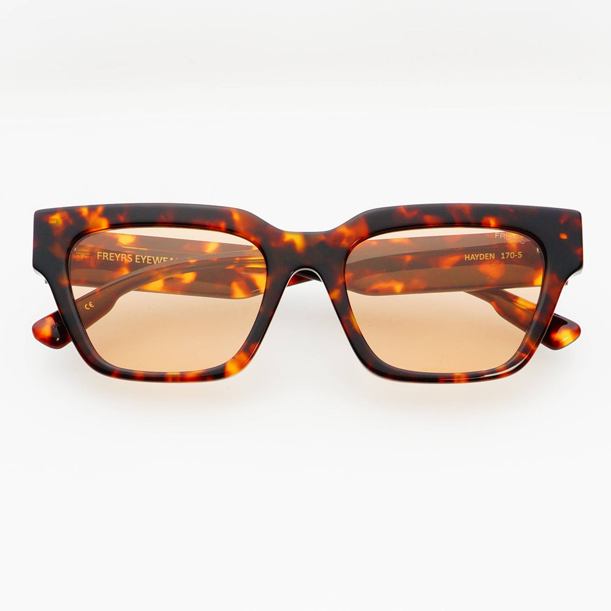 Hayden Acetate Unisex Rectangular Sunglasses