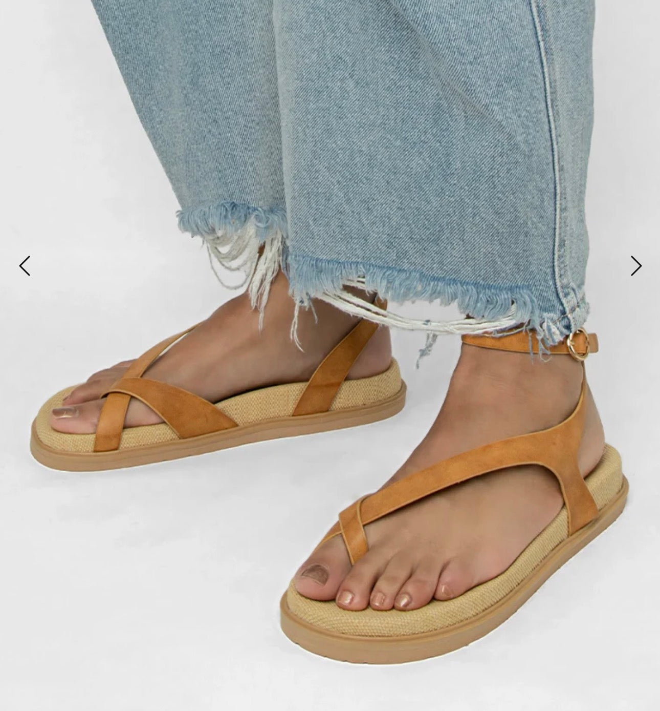 Berry Camel