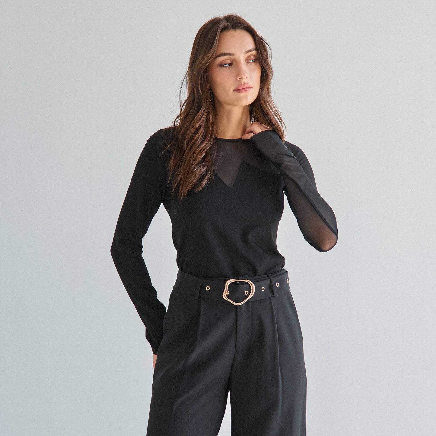 Sheer long sleeve top